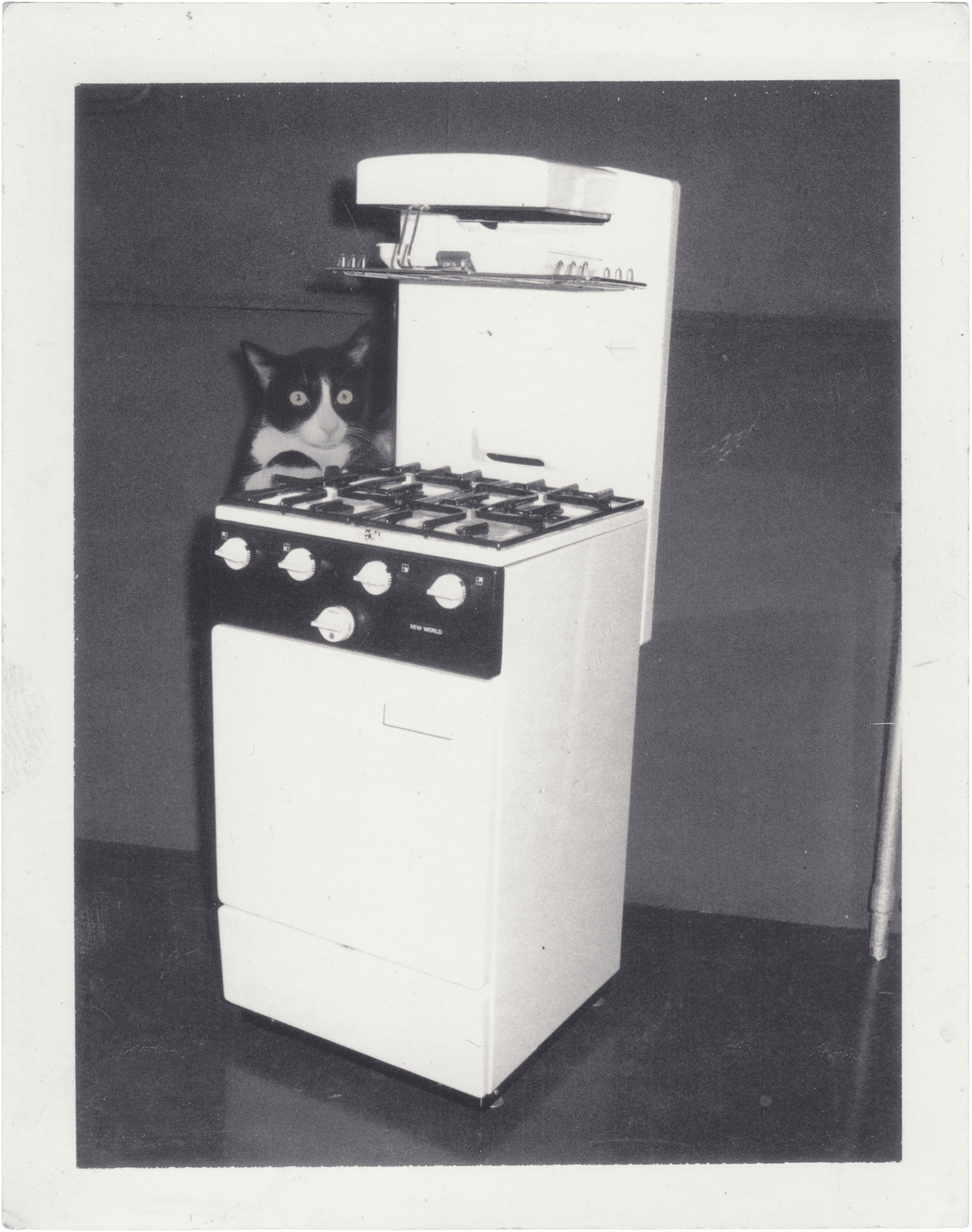 Vintage cooker